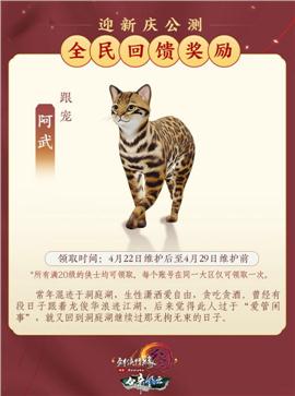 天龙八部私服铁血套